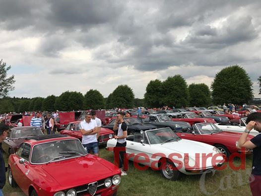 Alfa Romeo Owners Club - Treasured Cars