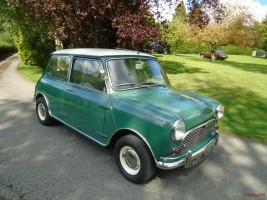 1964 Austin Mini Classic Cars for sale